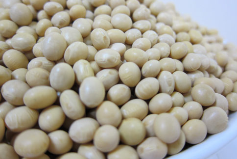 台灣充斥著基因改造黃豆，國人必須知道如何才能吃得安心。（圖片提供／統一食品）