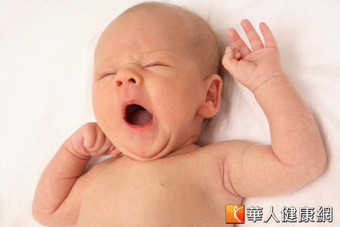澳洲研究指出，滿月嬰兒頭圍、體重增長越多者，長大後越聰明。