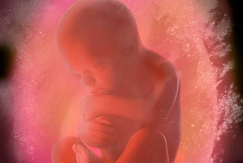 子宮胎兒已開始在母體內，感受外在世界。（圖片／取材自《每日郵報》）