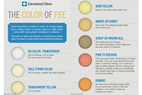 從尿液的顏色可以輕鬆自行檢查身體基本的健康狀況（圖片／取材自英國《每日郵報》）