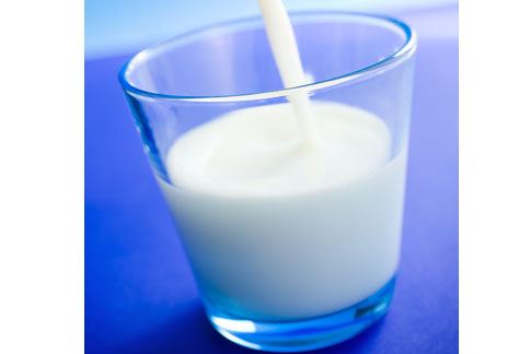 只要每天攝取500毫升的全脂牛奶，體內的瘦素濃度就會在1個月內增加3成。